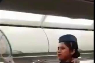 مضيفات الطيران الهندية يستخدمن المضارب لقتل البعوض خلال رحلة جوية (فيديو)