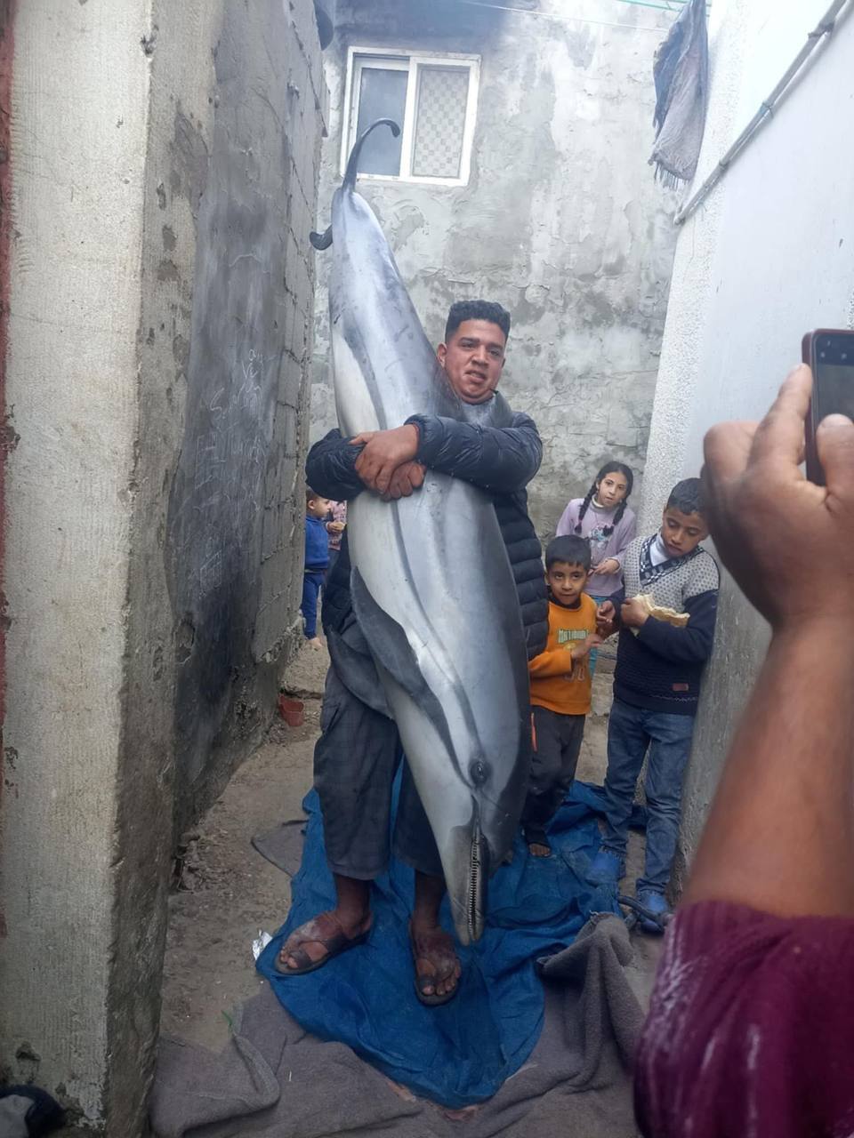صيد دولفين في بحر جنوب قطاع غزة يثير جدلاً واسعًا