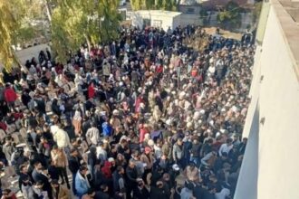 بلدية مادبا ترد على متابعة صراحة نيوز لليوم الوظيفي وتعلن استعدادها لتكريم الشركات حال تعيين ٥٠٠ شخص