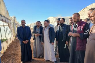 البحوث الزراعية ينفذ دورة تدريبية لتمكين صغار المزارعيين حول الممارسات الفضلى في إنتاج الفراولة