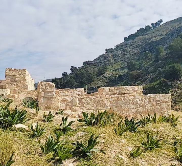 جولة تفقدية ومسير لأعضاء منتدى حلاوة الثقافي وجمعية وادي زقيق السياحية