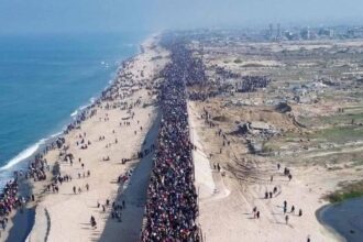 استمرار عودة حشود من النازحين الفلسطينيين إلى ديارهم شمال قطاع غزة