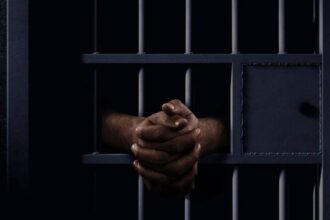 حبس مذيع مصري 4 أشهر بتهمة التزوير ومزاولة المهنة بدون ترخيص في قضية مثيرة