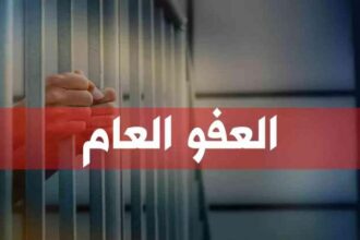 تأجيل مناقشة قانون العفو العام 2025... المحاميد يكشف أسباب عدم اجتماع لجنة الحريات