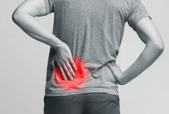 5 أطعمة تدعم صحة الكلى وتعزز وظائفها في الشتاء