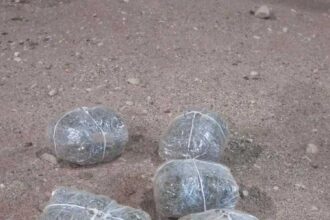 المنطقة العسكرية الجنوبية تحبط عدة محاولات لتهريب كميات من المواد المخدرة بواسطة طائرات مسيرة