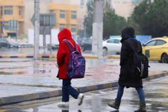 عاجل | تعليق الدراسة في الشوبك بسبب الطقس