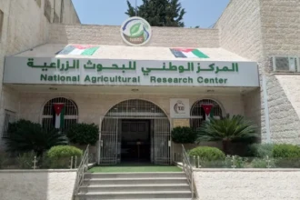 البحوث الزراعية تطلق خدمة "اسأل خبير" للمزارعين