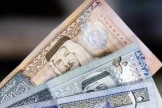 مدير عام ضريبة الدخل والمبيعات: تحصيلات عام 2024 بلغت 6.091 مليار دينار