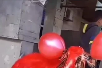 عراقي يصدم حبيبته "بخروف" أحمر في عيد الحب