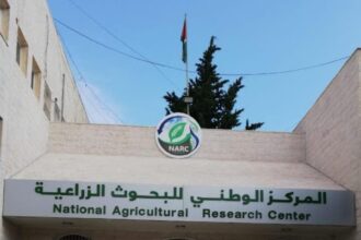 البحوث الزراعية يطور آلية استنباط أصناف الحبوب والبقوليات من خلال برنامج التهجين الوطني