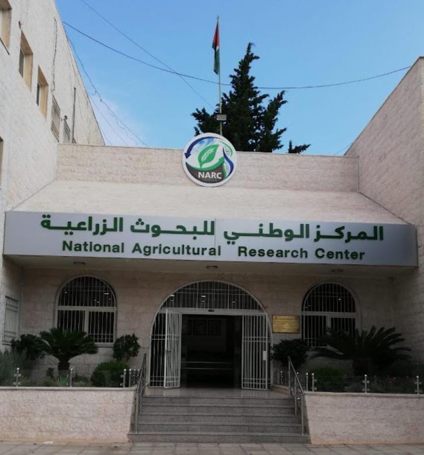 البحوث الزراعية يطور آلية استنباط أصناف الحبوب والبقوليات من خلال برنامج التهجين الوطني