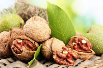 أي المكسرات تعزز الذاكرة أكثر.. اللوز أم الجوز؟