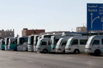 مجلس الوزراء يقرر تخفيض رسوم تراخيص قطاع النقل العام بنسبة 50%