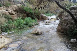 مطالبات بإدراج منطقة راجب ضمن المدن السياحية العالمية لتعزيز السياحة والاستثمار