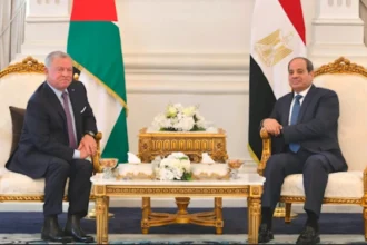 الملك يبحث مع السيسي تطورات الأوضاع في فلسطين والتنسيق العربي المشترك