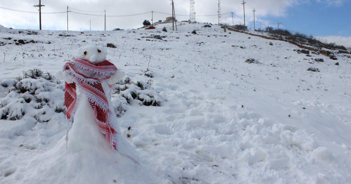 العاصفة القطبية قادمة..جهزوا أنفسكم لأجواء غير مسبوقة!