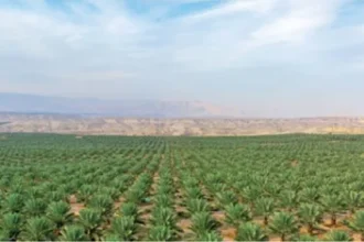 سلطة وادي الأردن تدعو المزارعين لتنسيق احتياجات من المياه