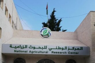 ابوحمور :- تحويل ٩ قضايا لهيئة النزاهة وإعادة تقييم لأنجازات المراكز البحثية والمحطات