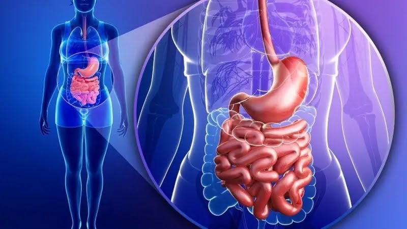 تغيرات جسمية هامة تحدث أثناء الصيام في رمضان