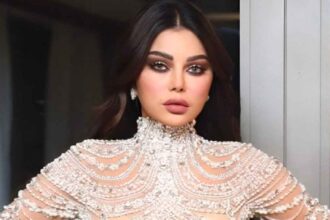 ما سبب إلغاء حفل هيفاء وهبي في الكويت ؟