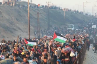 مصر تعلن عن لجنة إدارية لإدارة قطاع غزة لمدة 6 أشهر