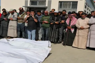14 شهيدا في مناطق متفرقة من قطاع غزة