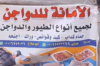 تاجر دواجن مصري يُقتل بدم بارد لبيعه بأسعار مخفضة ( التفاصيل)