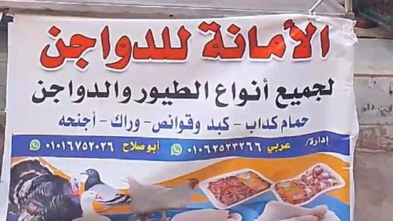 تاجر دواجن مصري يُقتل بدم بارد لبيعه بأسعار مخفضة ( التفاصيل)