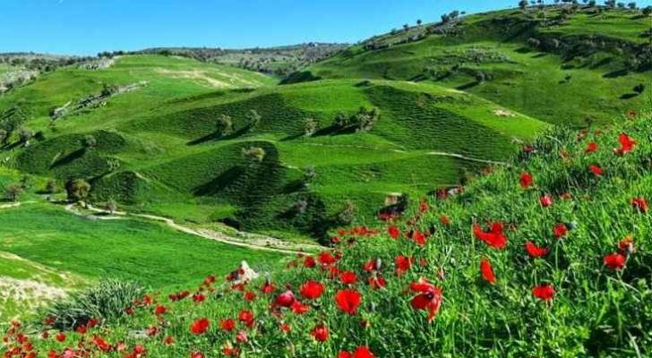 الاعتدال الربيعي غدًا الخميس إيذانًا ببداية فصل الربيع فلكيًا