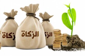 زكاة الفطر.. فريضة التكافل الاجتماعي قبيل العيد