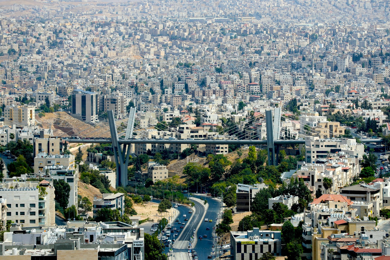طقس ربيعي معتدل.. وزخات مطرية متوقعة مساء الثلاثاء
