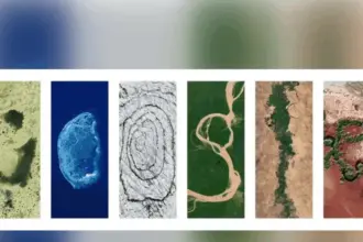يوم الأرض.. دعوة عالمية لحماية البيئة وضمان مستقبل مستدام