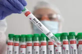 المكسيك تسجل أول حالة وفاة بسلالة «H5N1» من إنفلونزا الطيور