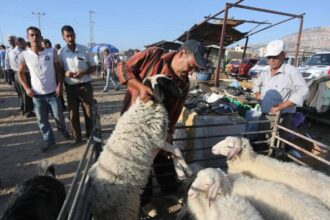 تعرف على موعد عيد الأضحى حسب تقويم أم القرى في السعودية