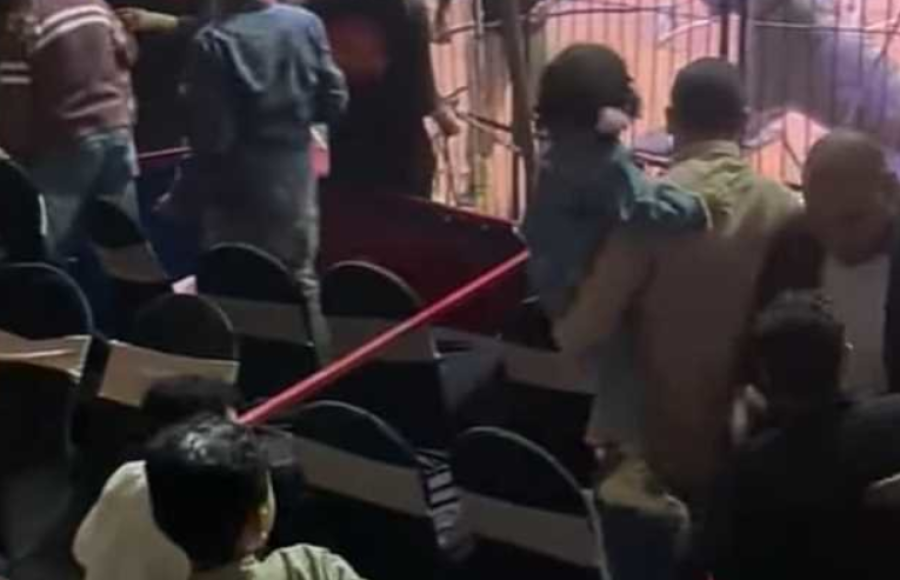 إخلاء سبيل مدربة أسود مصرية بعد هجوم نمر على مساعدها