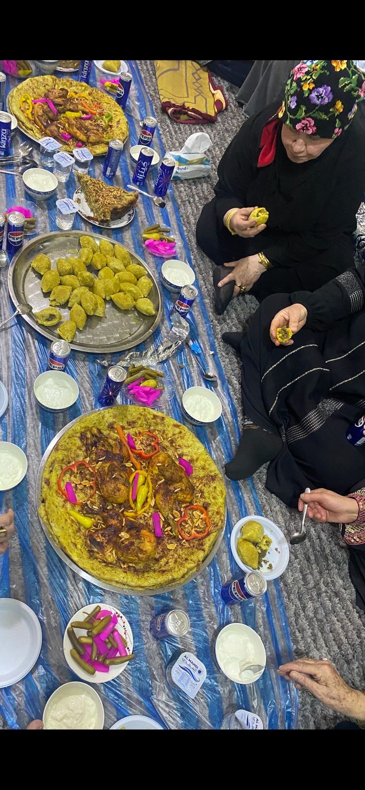"الشيخ الأخضر "في ربوع الشمال الأخضر جولة لسمو الشيخ الدكتور عبد العزيز بن علي بن راشد النعيمي في ربوع الشمال