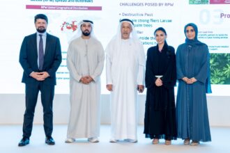 أبوظبي تطلق "الاتحاد الدولي لمكافحة سوسة النخيل الحمراء