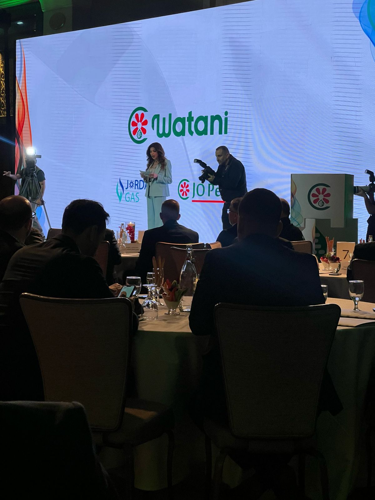 "وطني" شركة جديدة لتزويد الصناعات الأردنية بالغاز الطبيعي من حقل الريشة
