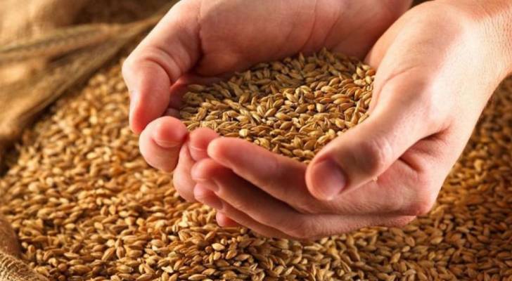 الصناعة والتجارة تطرح عطاءً لشراء 100 إلى 120 ألف طن من القمح