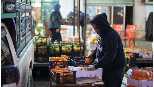 الزراعة الأردنية تسجل نمواً غير مسبوق في 2024: 6.9% وارتفاع الصادرات بنسبة 39%