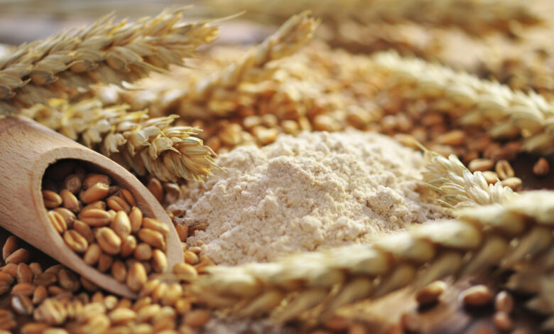 طرح عطاء لشراء كميات من الشعير