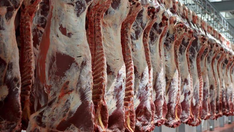 لحمة العيد تطير من موائد إربد...أسعار خيالية وغياب للأضاحي!