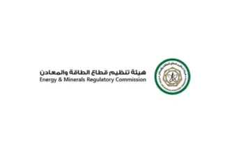 هيئة الطاقة تضبط 49 جهة مخالفة منذ بداية العام