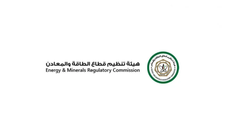 هيئة الطاقة تضبط 49 جهة مخالفة منذ بداية العام