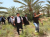 وزير الزراعة: مستمرون في معالجة السماد العضوي والقضاء على الآفات