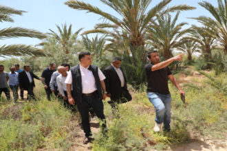 وزير الزراعة: مستمرون في معالجة السماد العضوي والقضاء على الآفات