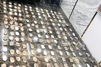 الجيش الأردني يحبط محاولة تسلل وتهريب مخدرات كبيرة من سورية