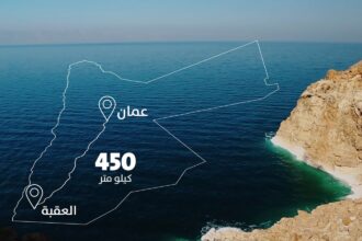 ابو السعود :الاهتمام الملكي أسهم في توفير الدعم لمشروع الناقل الوطني