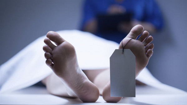عاجل || وفاة شاب بحادث دهس في إربد